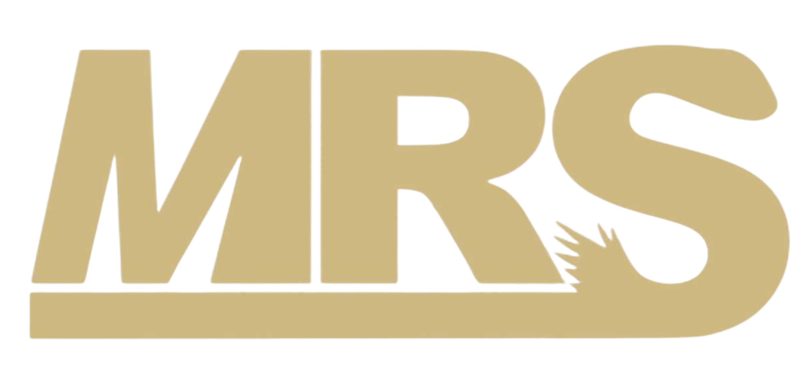 MRS Auto_logo